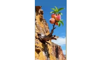 yazı resim