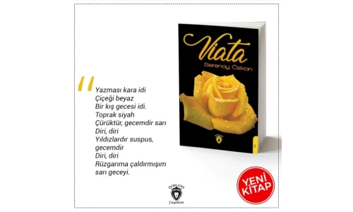 yazı resim
