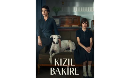 yazı resim