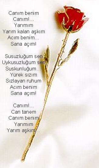 yazar